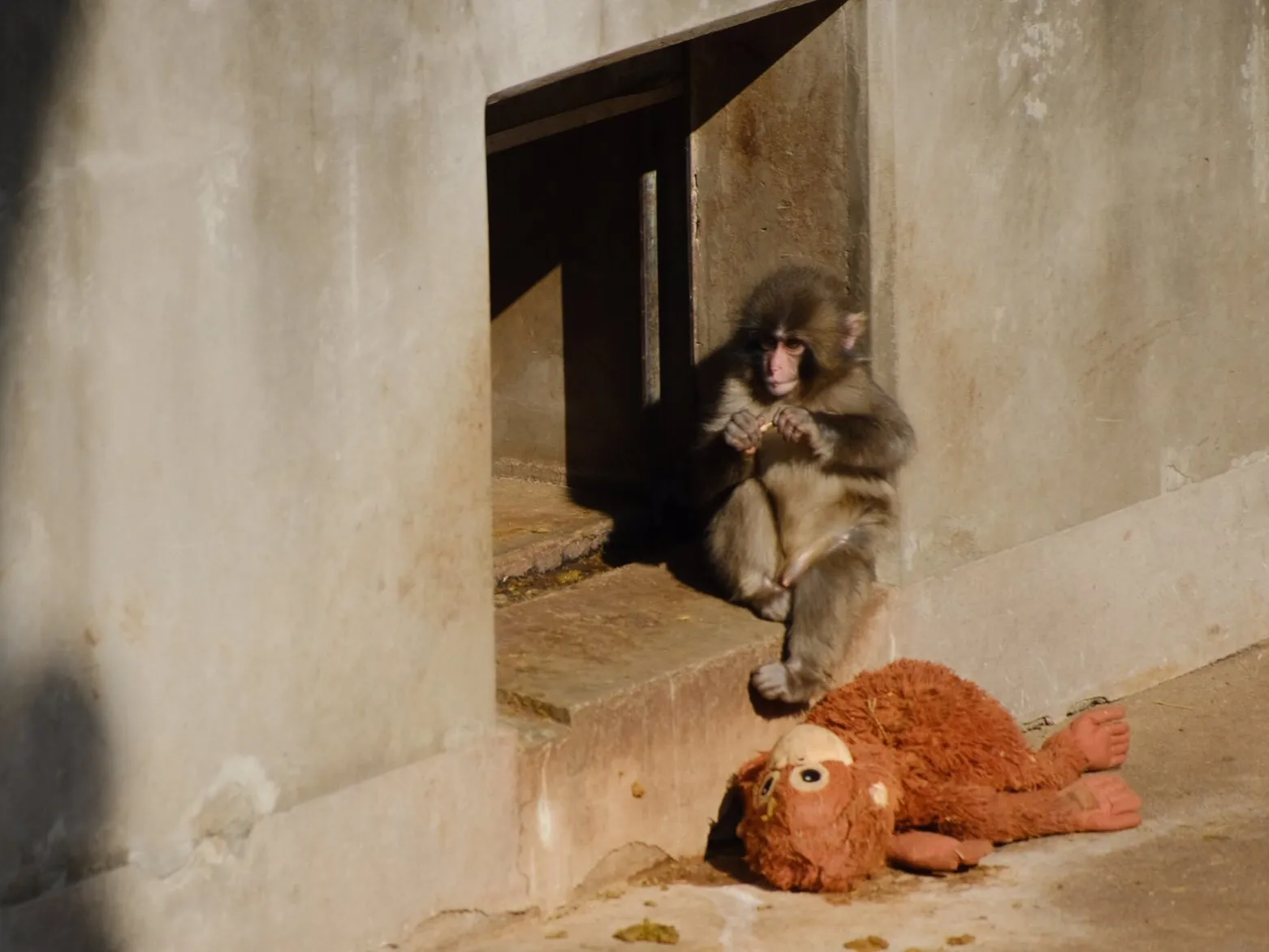 Best friends never let go