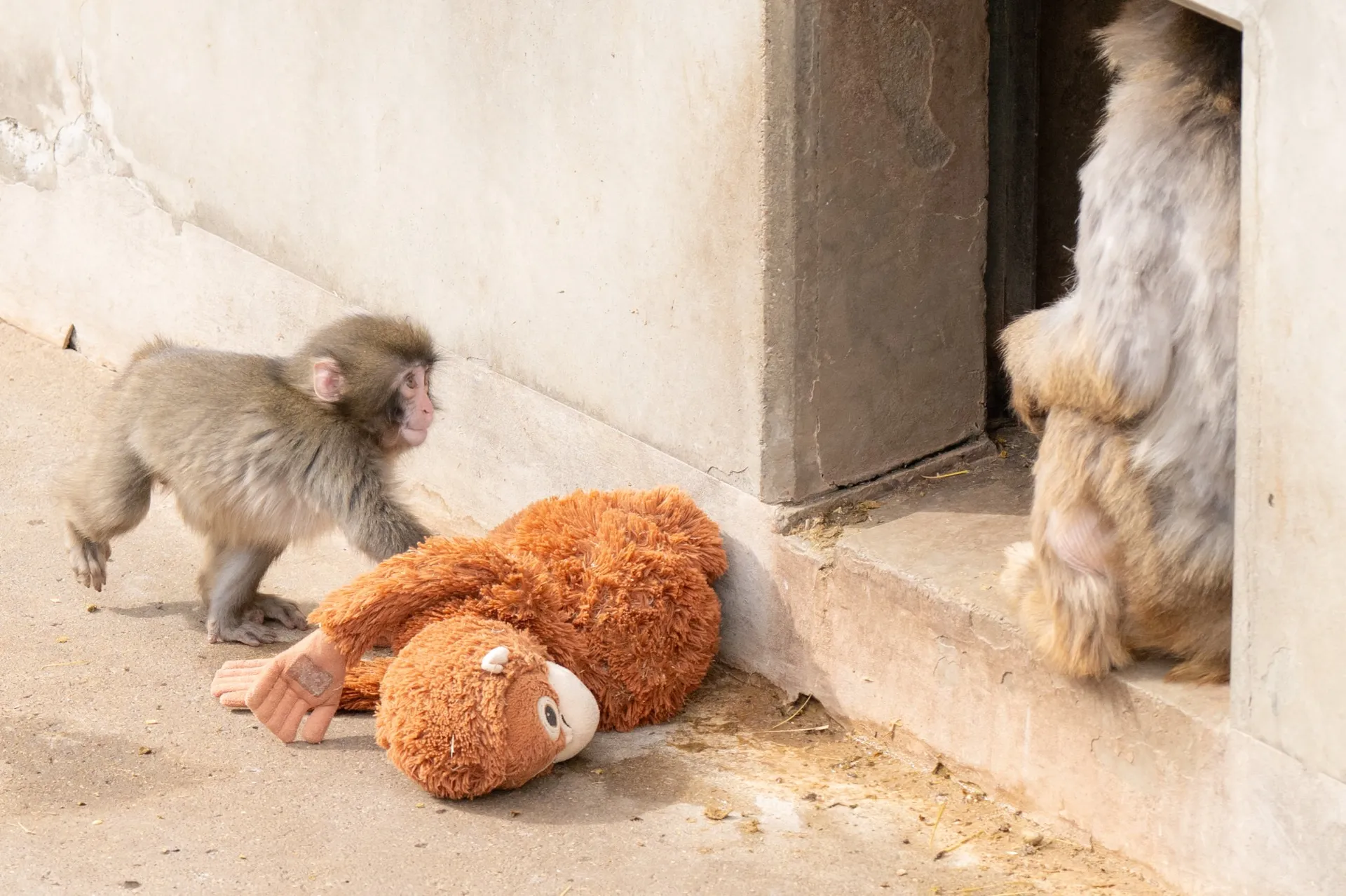 Curious explorer 👀